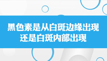 308激光治疗仪价格